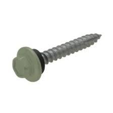 HEX HEAD SCREW - TYPE17 12G X 65MM PAINTED 500PK