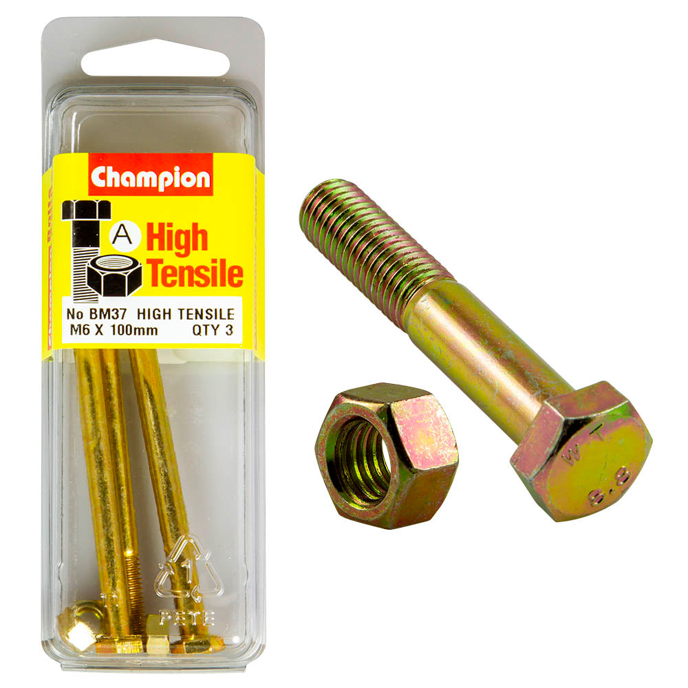 Champion High Tensile M6 x 100mm